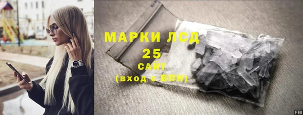 индика Новодвинск