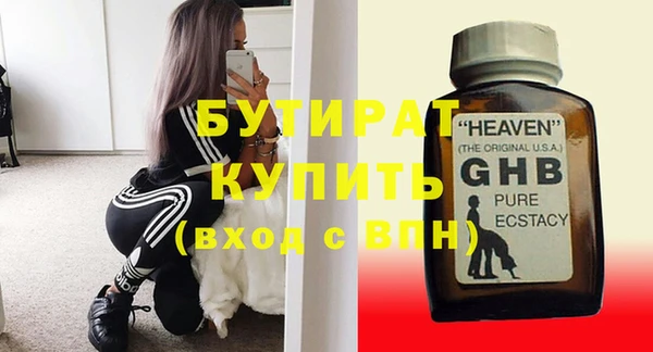 индика Новодвинск