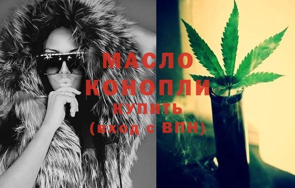 индика Новодвинск