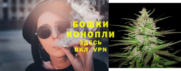 стаф Елизово