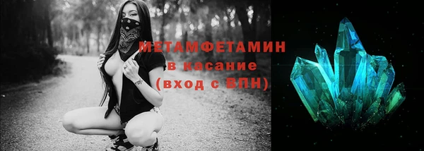 индика Новодвинск