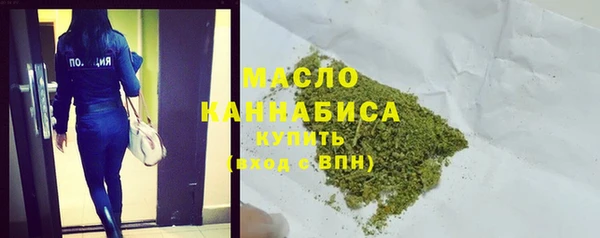 индика Новодвинск