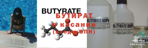 индика Новодвинск
