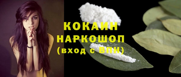 скорость Новозыбков
