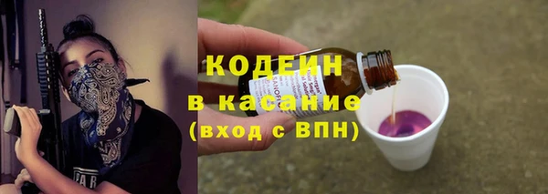индика Новодвинск