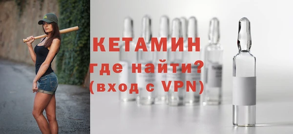 индика Новодвинск