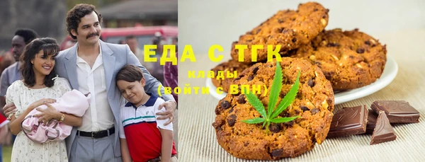 индика Новодвинск