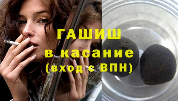 индика Новодвинск