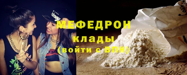 индика Новодвинск