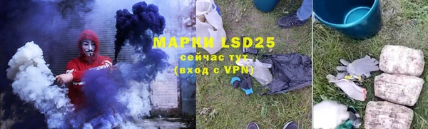 индика Новодвинск
