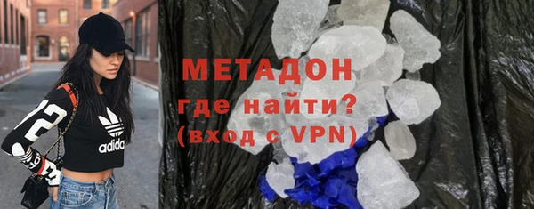индика Новодвинск