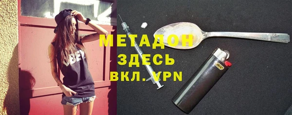 индика Новодвинск