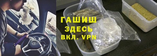 индика Новодвинск