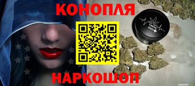 дживик Гай