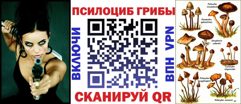 сколько стоит Кохма Псилоцибиновые грибы Cubensis